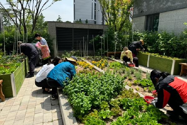 텃밭정원_가꾸기_활동사진.jpg 이미지